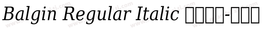 Balgin Regular Italic 语言英文字体转换